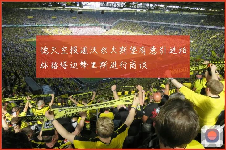 德天空报道沃尔夫斯堡有意引进柏林赫塔边锋里斯进行商谈